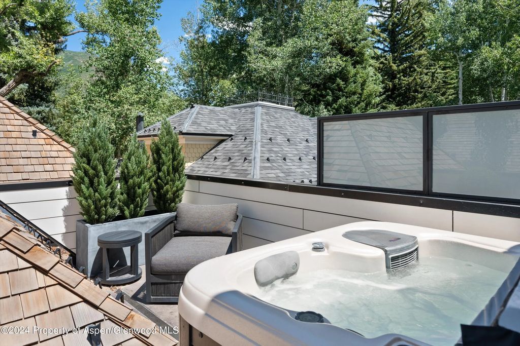 36 of 49 - 105 E Hallam Street, Aspen, CO
