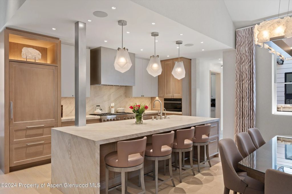 5 of 49 - 105 E Hallam Street, Aspen, CO