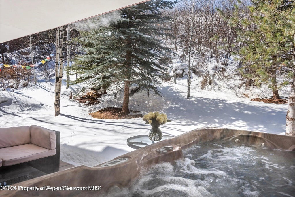 40 of 46 - 1015 Cemetery Lane, Aspen, CO