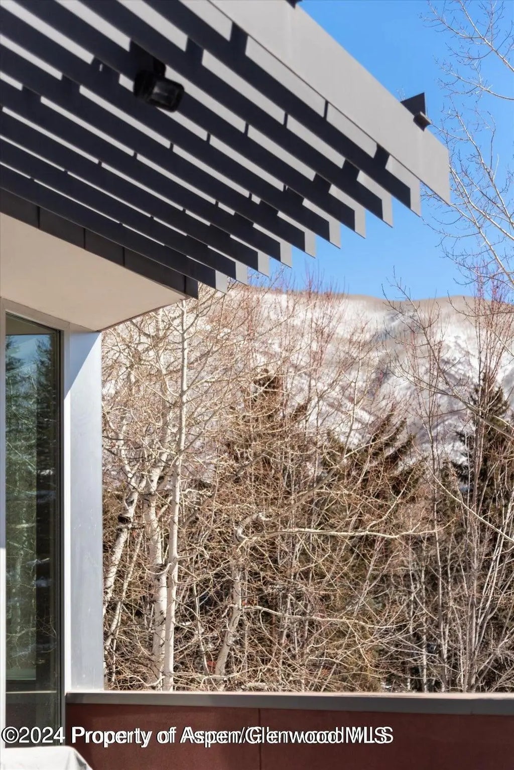 45 of 46 - 1015 Cemetery Lane, Aspen, CO