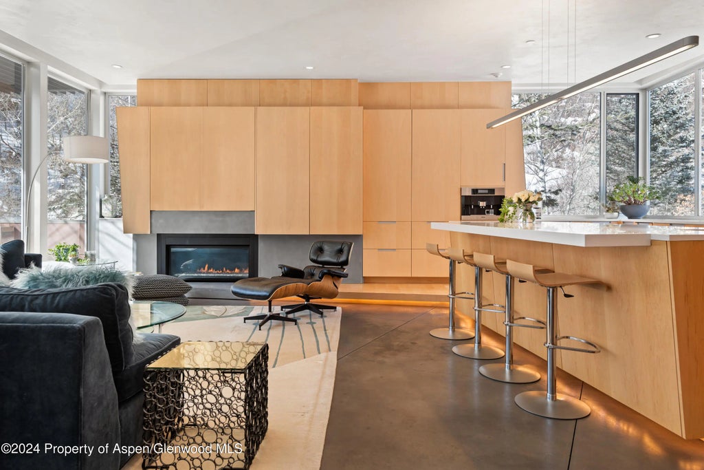 5 of 46 - 1015 Cemetery Lane, Aspen, CO