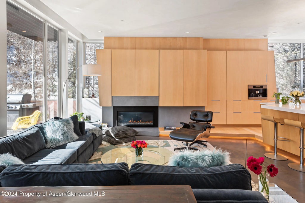 6 of 46 - 1015 Cemetery Lane, Aspen, CO