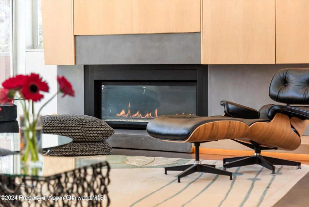 7 of 46 - 1015 Cemetery Lane, Aspen, CO