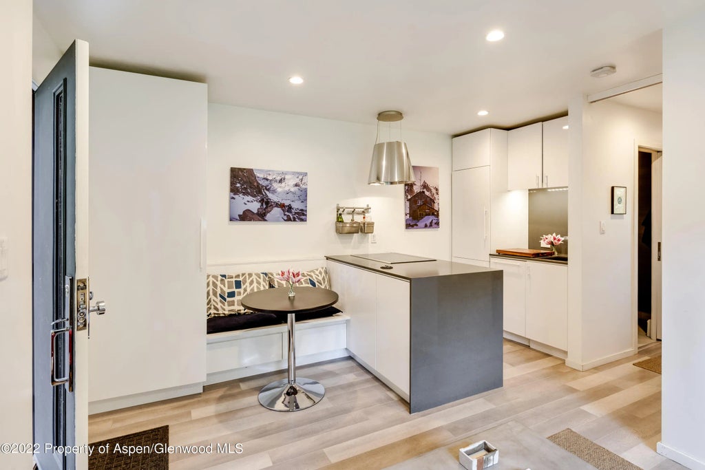 1 of 16 - 700 W Hopkins Avenue 6, Aspen, CO