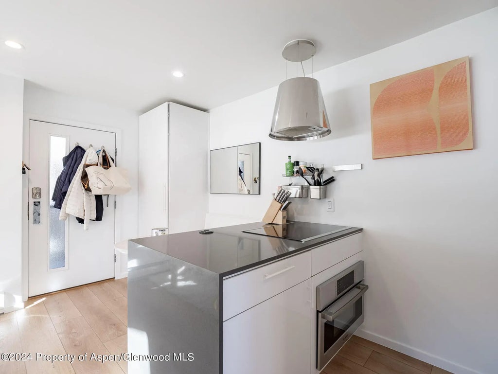 10 of 16 - 700 W Hopkins Avenue 6, Aspen, CO