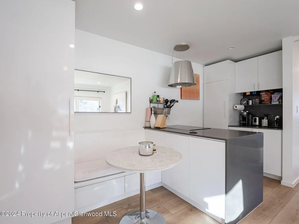 11 of 16 - 700 W Hopkins Avenue 6, Aspen, CO