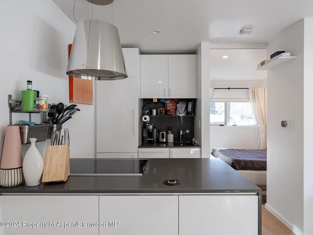 12 of 16 - 700 W Hopkins Avenue 6, Aspen, CO