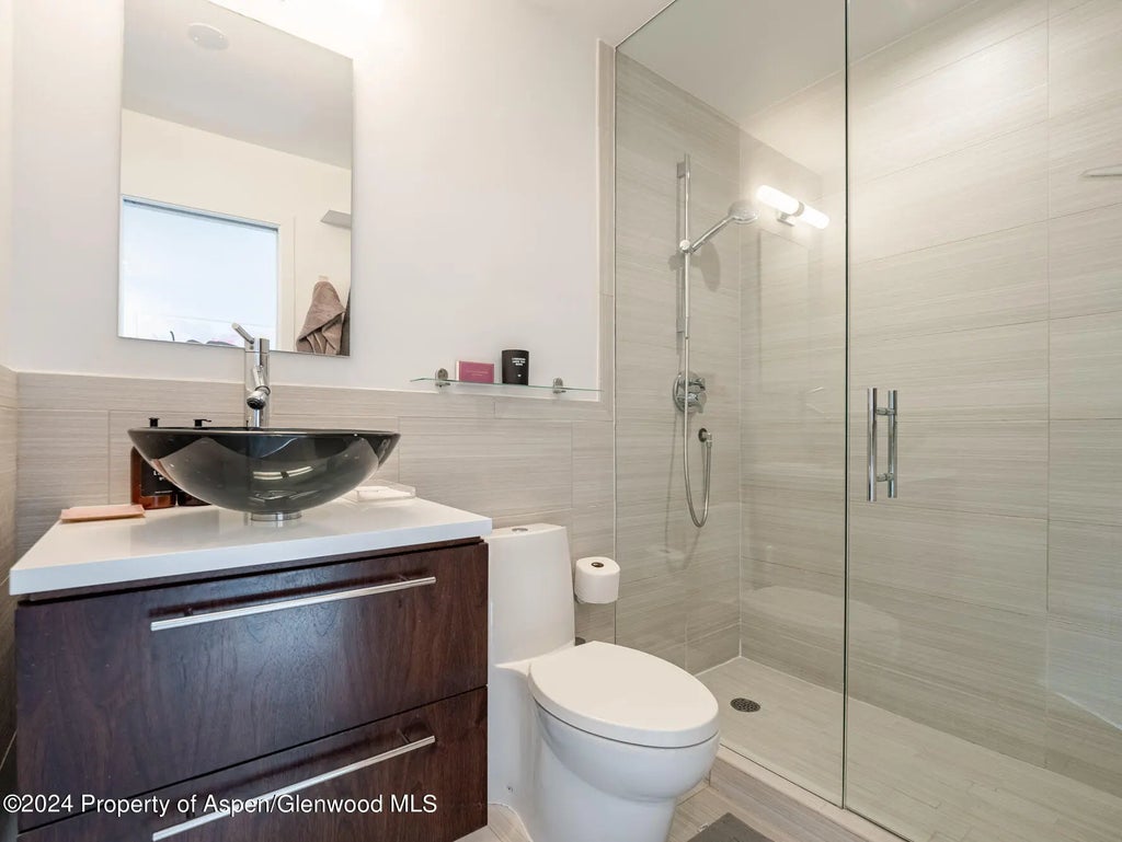 14 of 16 - 700 W Hopkins Avenue 6, Aspen, CO