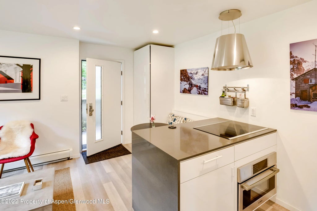 3 of 16 - 700 W Hopkins Avenue 6, Aspen, CO