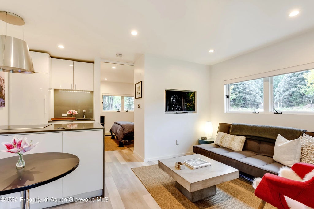 4 of 16 - 700 W Hopkins Avenue 6, Aspen, CO