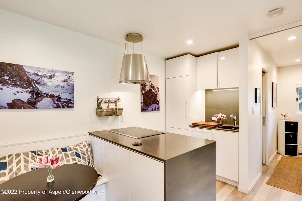 5 of 16 - 700 W Hopkins Avenue 6, Aspen, CO