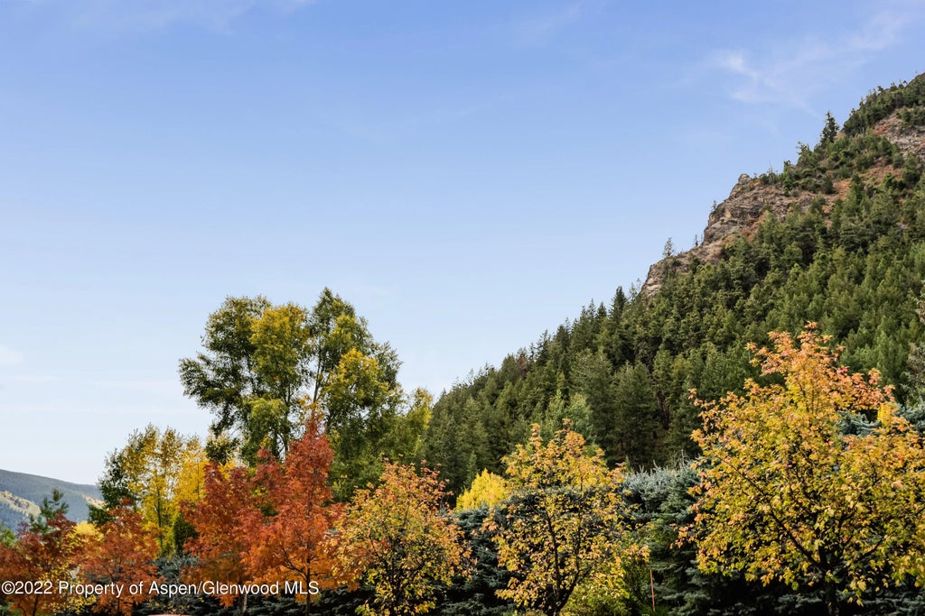 8 of 16 - 700 W Hopkins Avenue 6, Aspen, CO