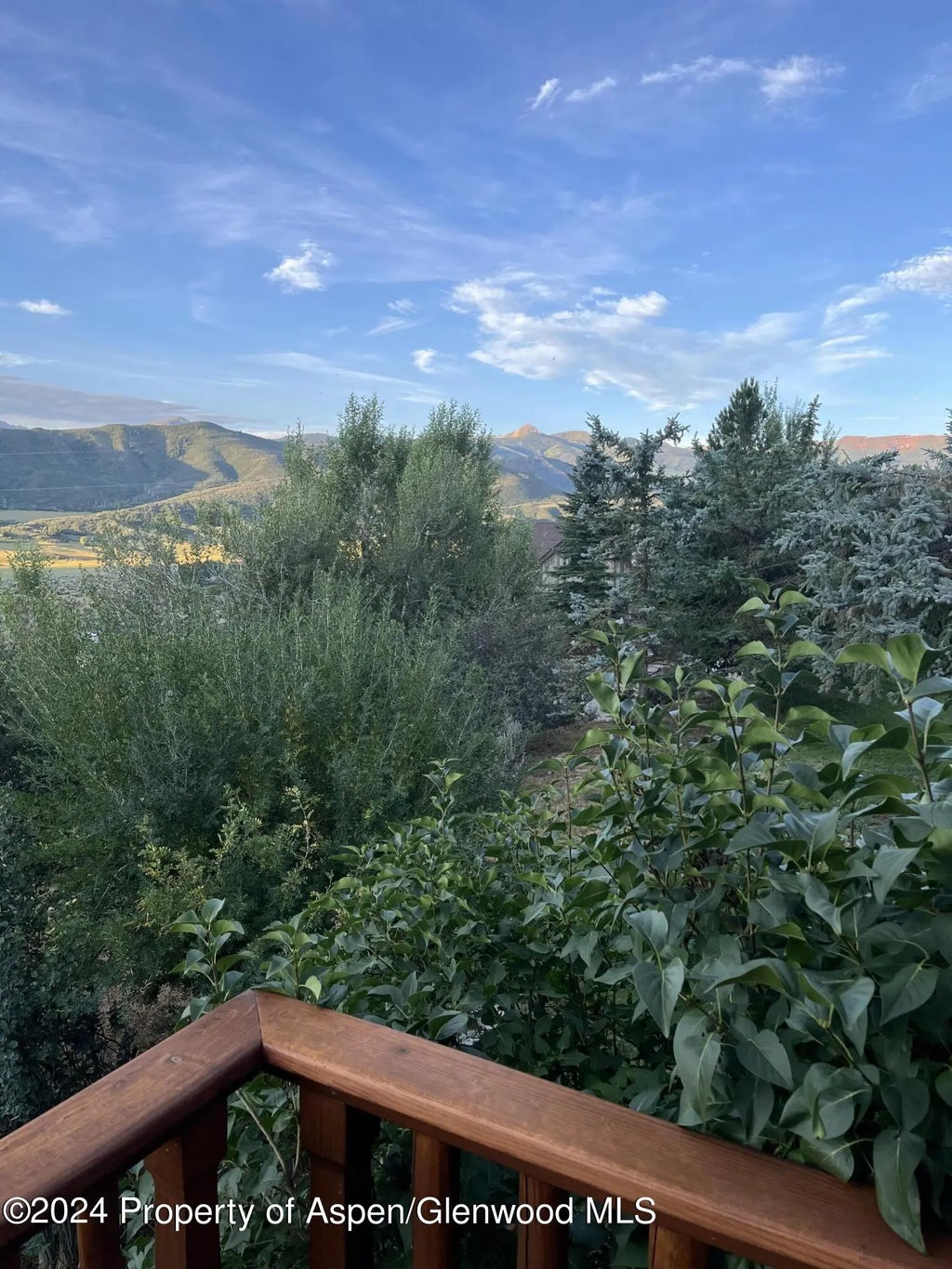 18 of 22 - 234 Light Hill Road, Snowmass, CO