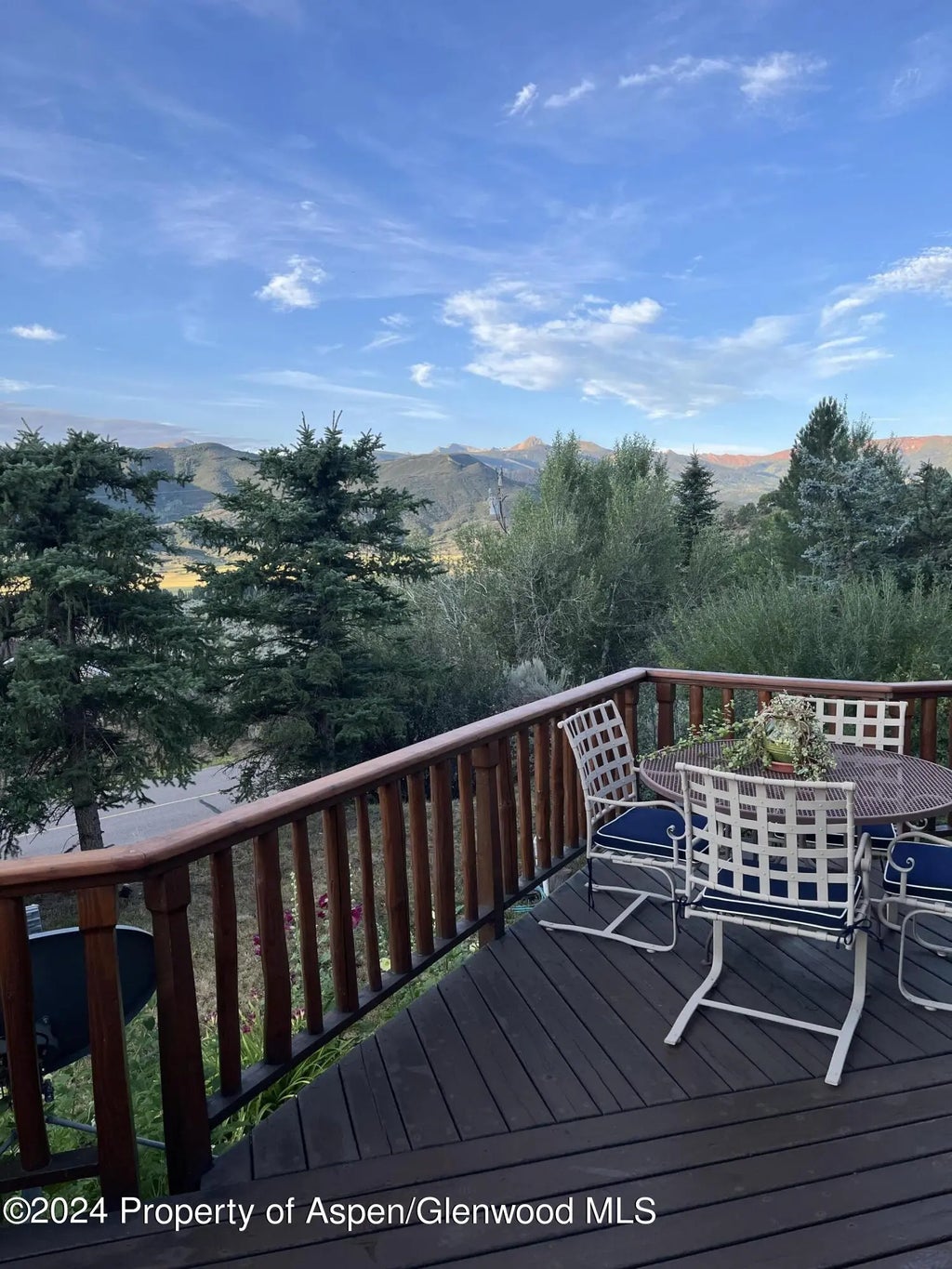 19 of 22 - 234 Light Hill Road, Snowmass, CO