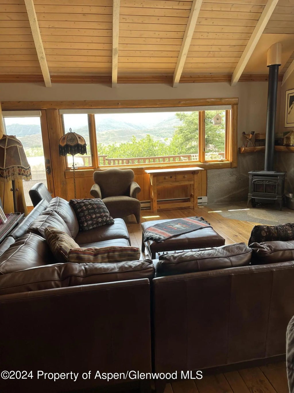 6 of 22 - 234 Light Hill Road, Snowmass, CO
