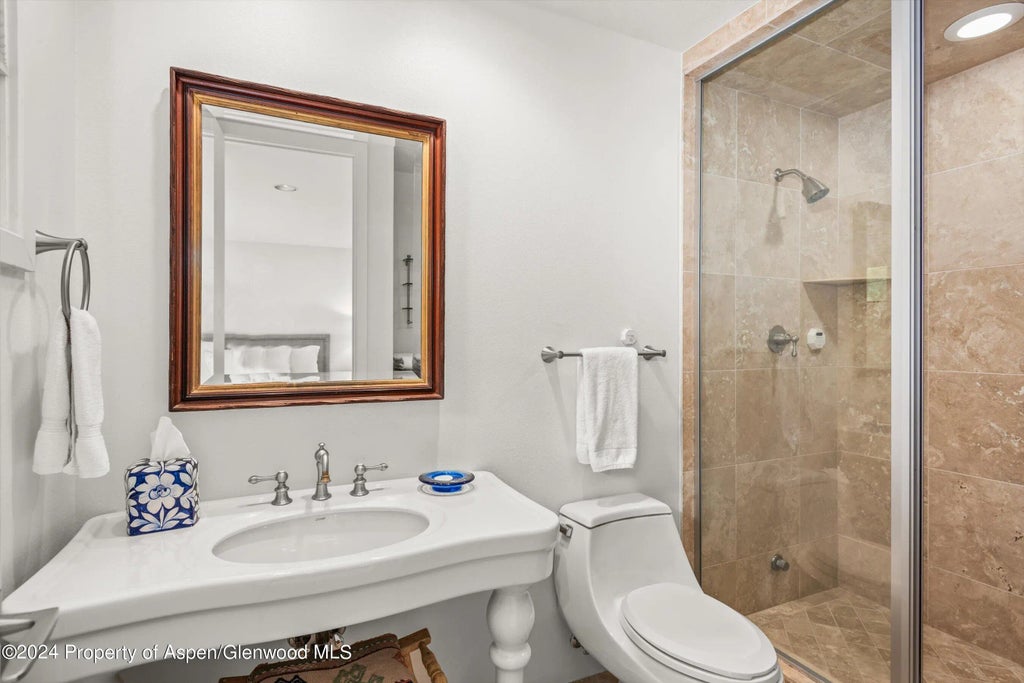 22 of 40 - 123 W Hyman Avenue Unit A, Aspen, CO