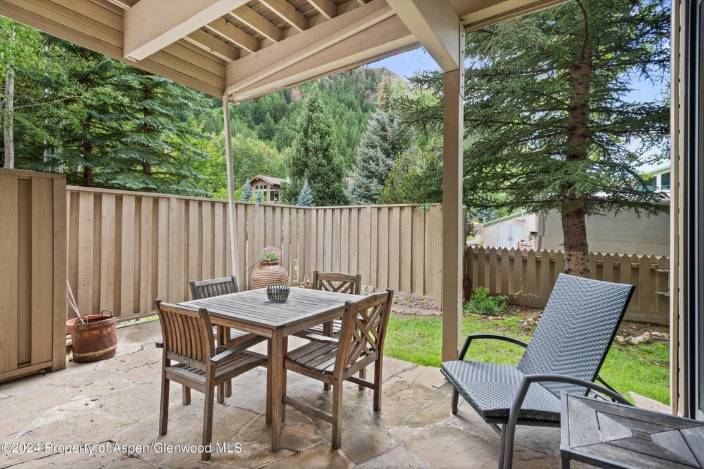 28 of 40 - 123 W Hyman Avenue Unit A, Aspen, CO
