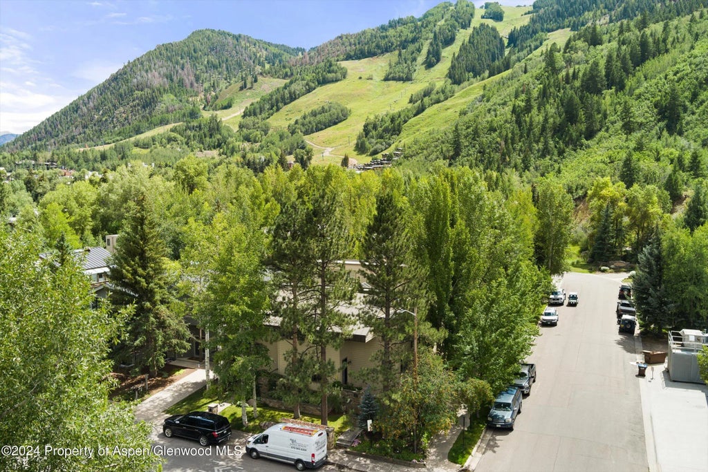 31 of 40 - 123 W Hyman Avenue Unit A, Aspen, CO