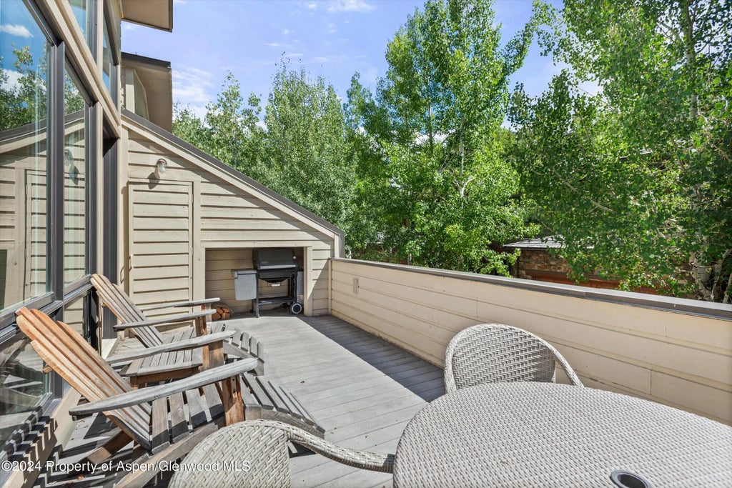 6 of 40 - 123 W Hyman Avenue Unit A, Aspen, CO