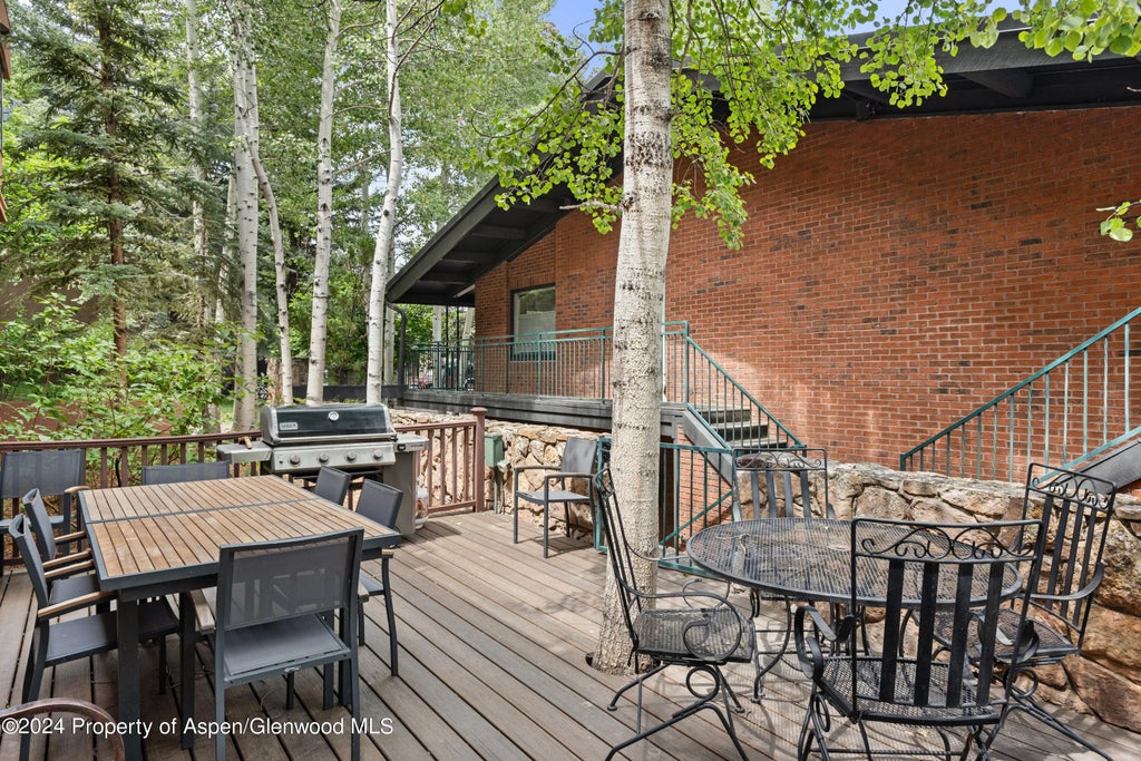 12 of 17 - 731 S Mill Street 2c, Aspen, CO