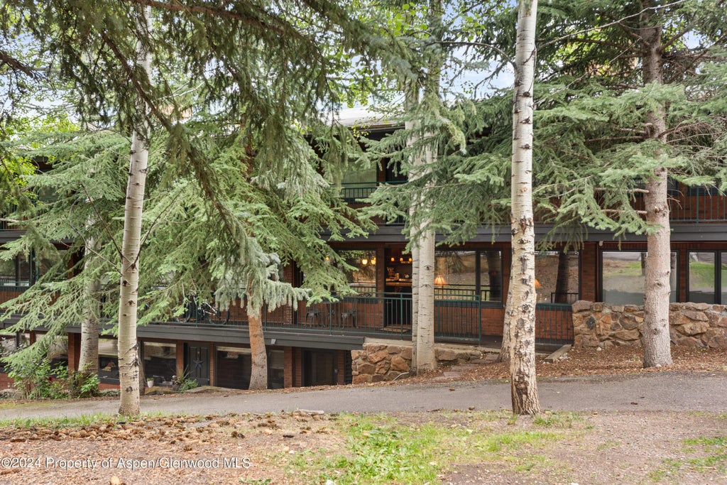 13 of 17 - 731 S Mill Street 2c, Aspen, CO