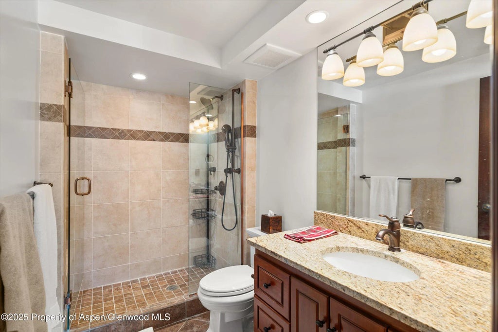 9 of 17 - 731 S Mill Street 2c, Aspen, CO