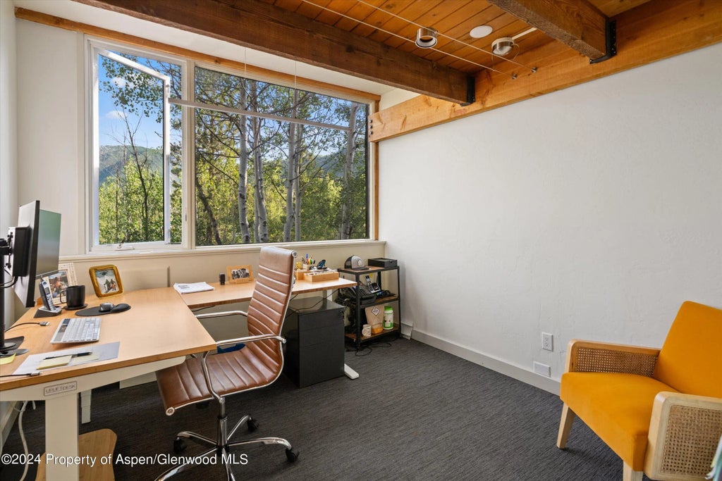 8 of 39 - 1280 Ute Avenue, Aspen, CO