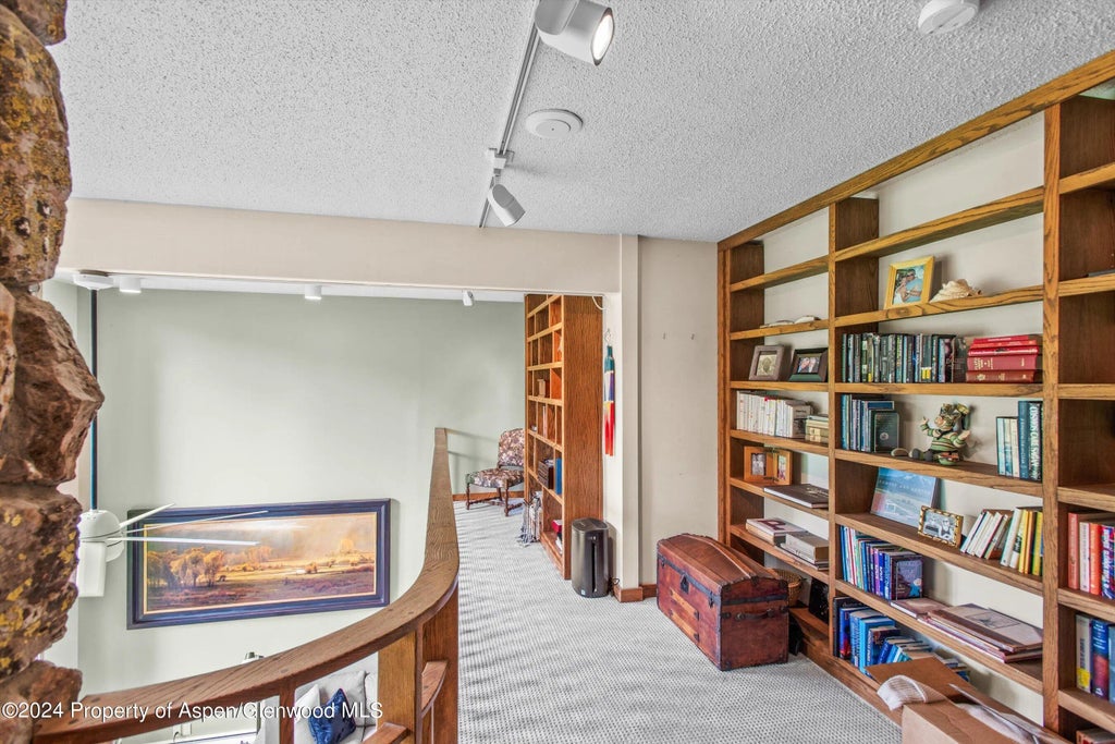 12 of 19 - 1695 Silver King Drive, Aspen, CO