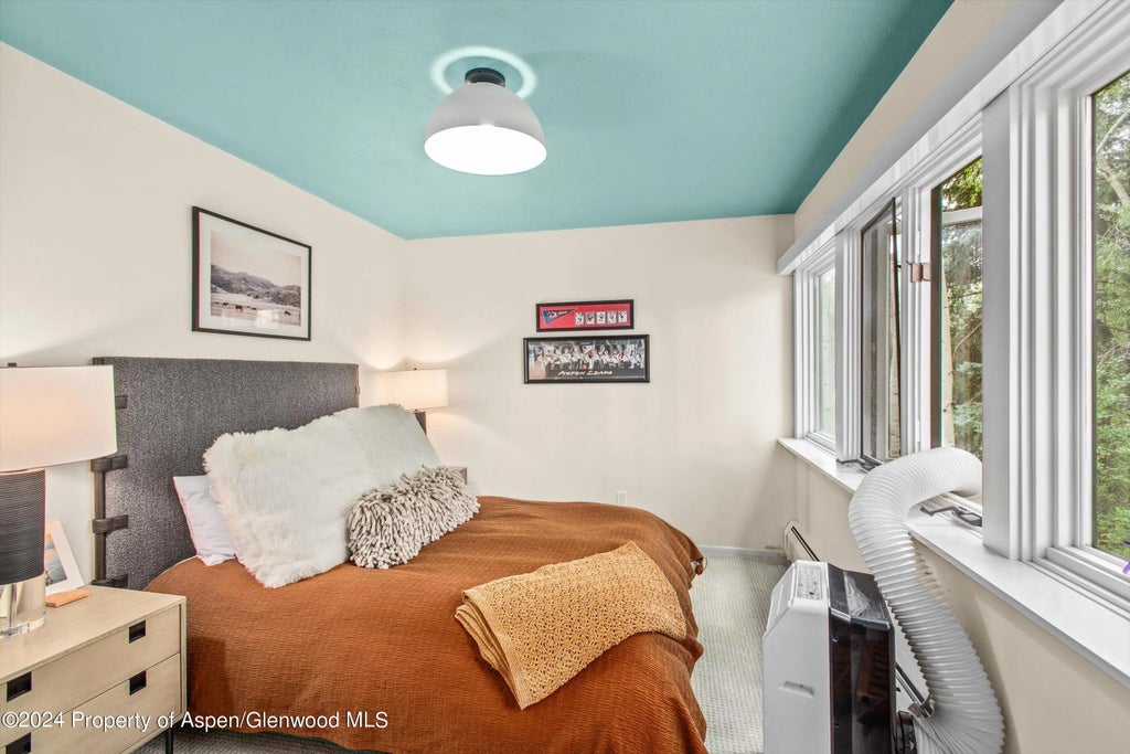 15 of 19 - 1695 Silver King Drive, Aspen, CO