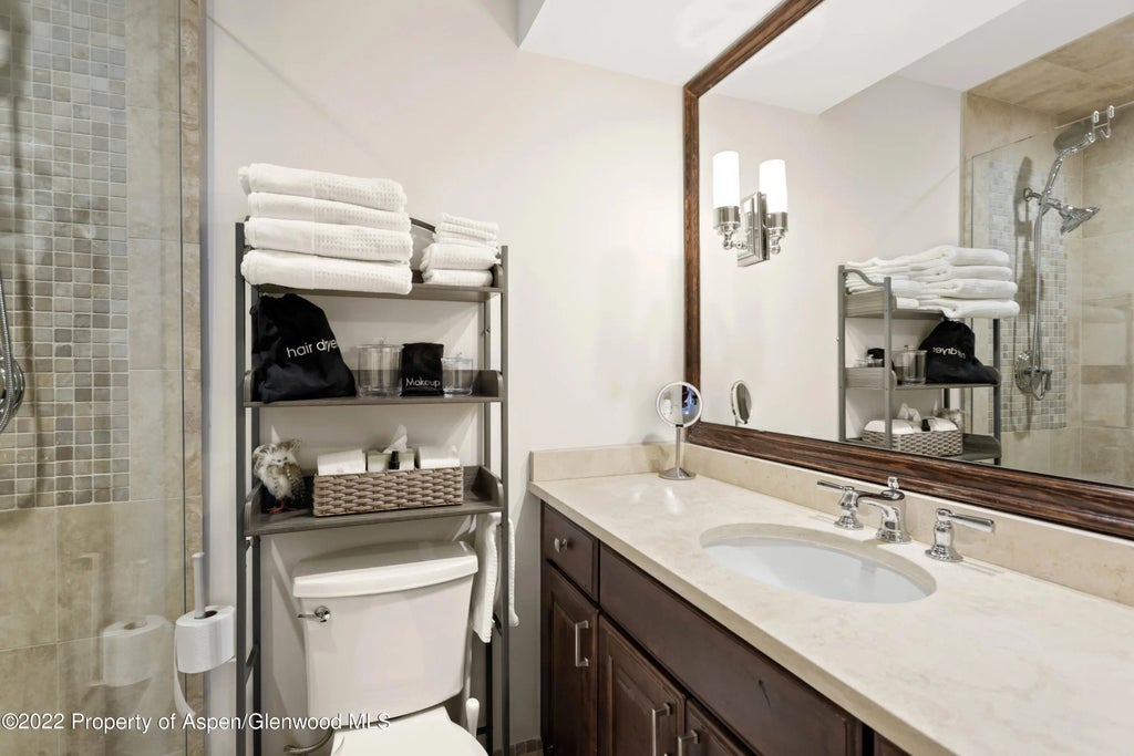 12 of 18 - 800 S Mill Street 6a, Aspen, CO