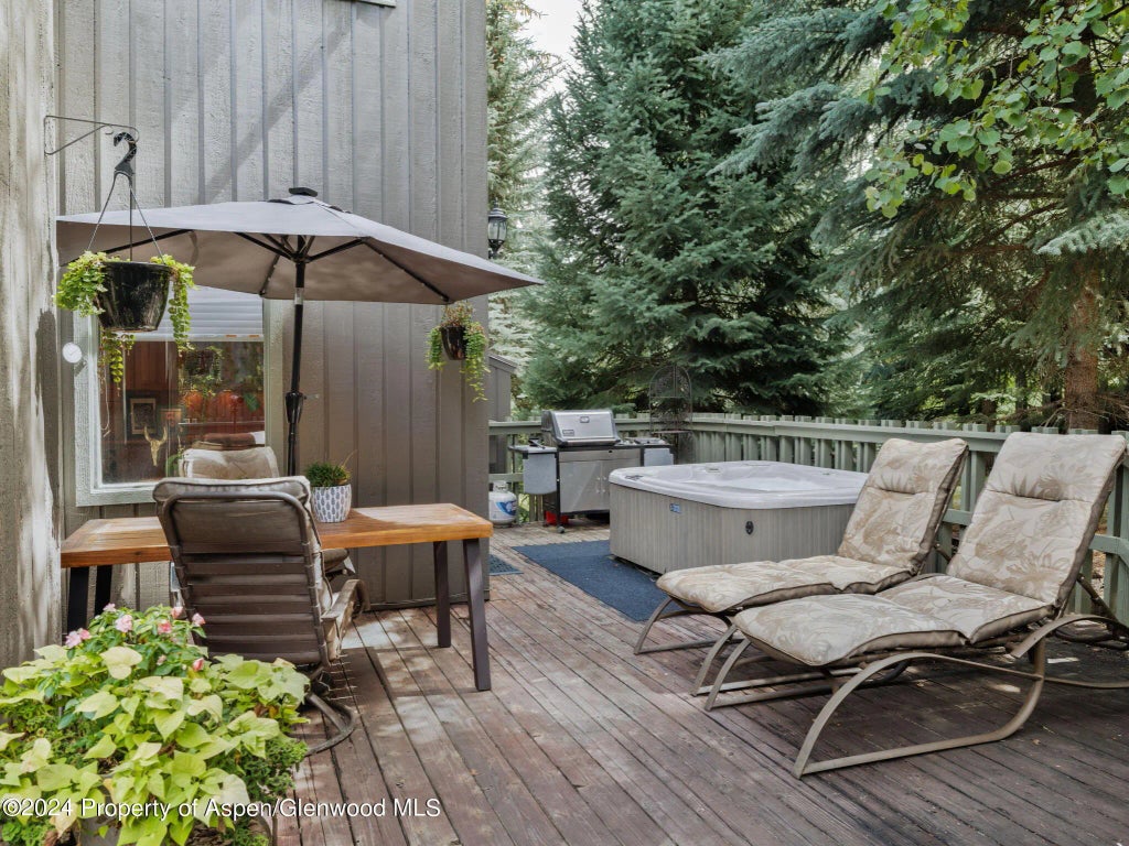 3 of 16 - 383 Meadow Ranch F-4-c, Snowmass Village, CO
