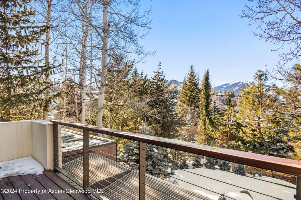 22 of 34 - 25 Nighthawk Drive, Aspen, CO