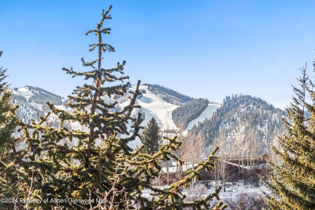 8 of 34 - 25 Nighthawk Drive, Aspen, CO