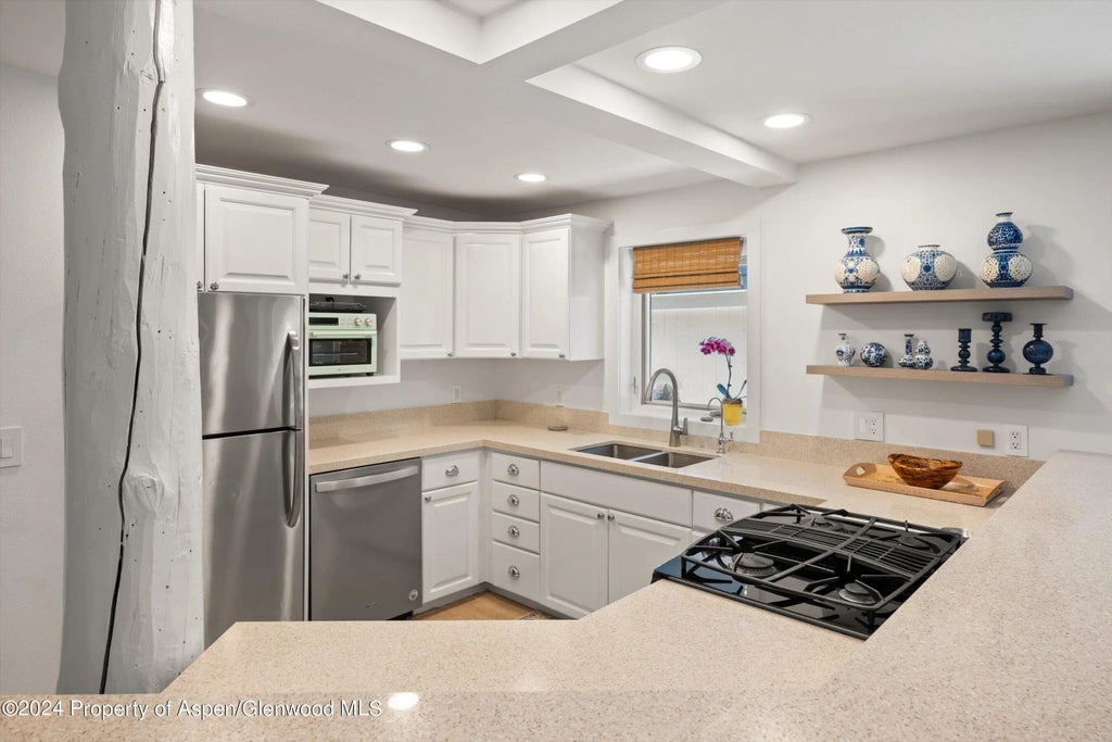 11 of 27 - 950 E Durant Avenue 6, Aspen, CO