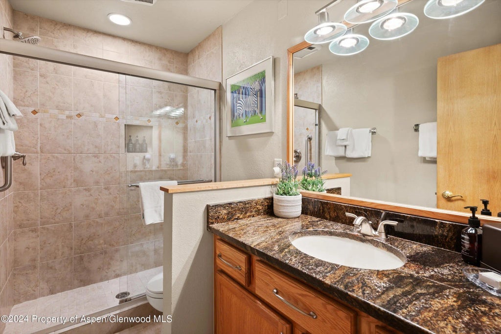 10 of 14 - 135 Carriage Way 22, Snowmass Village, CO