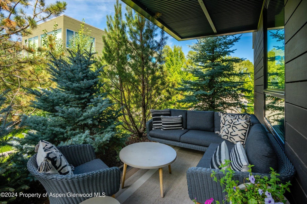 14 of 21 - 102 Evans Road 103, Basalt, CO
