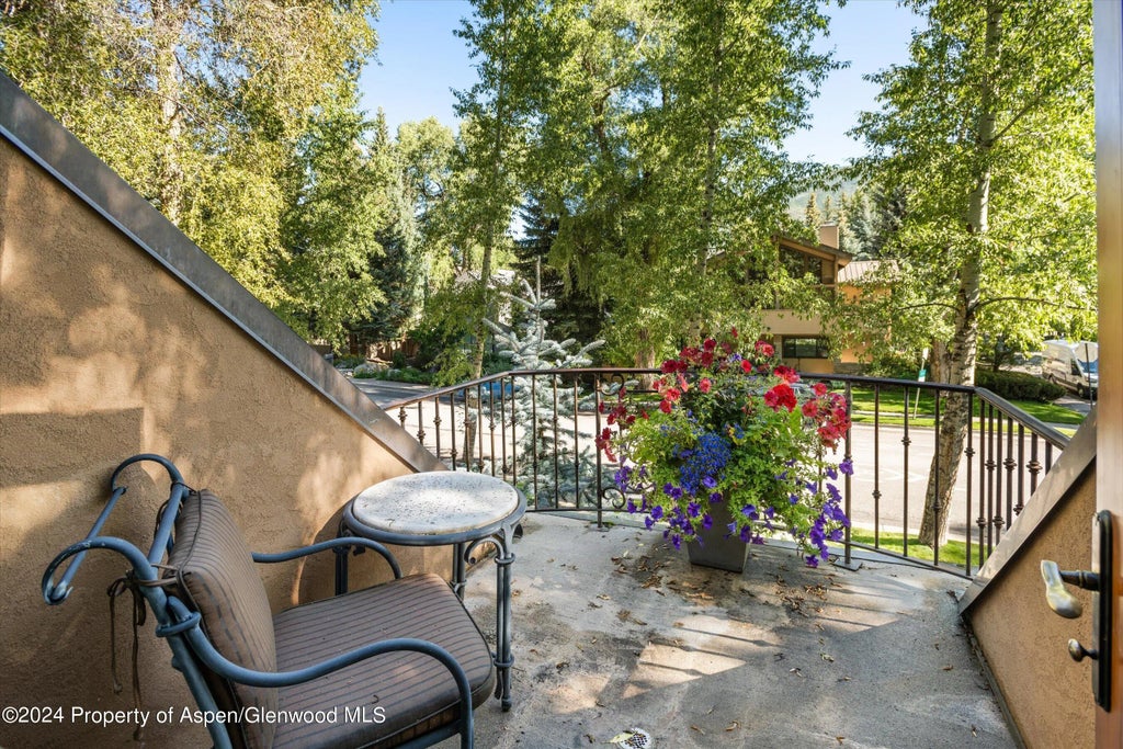 18 of 51 - 303 W Hopkins Avenue, Aspen, CO