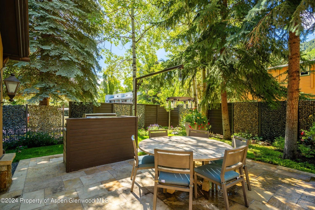 40 of 51 - 303 W Hopkins Avenue, Aspen, CO