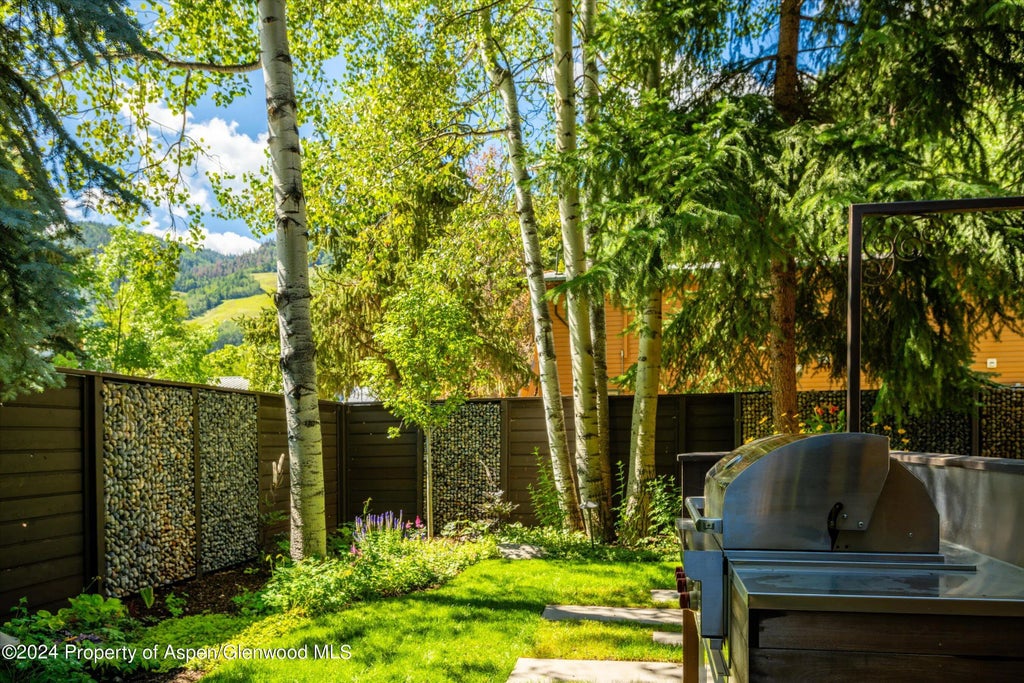 43 of 51 - 303 W Hopkins Avenue, Aspen, CO