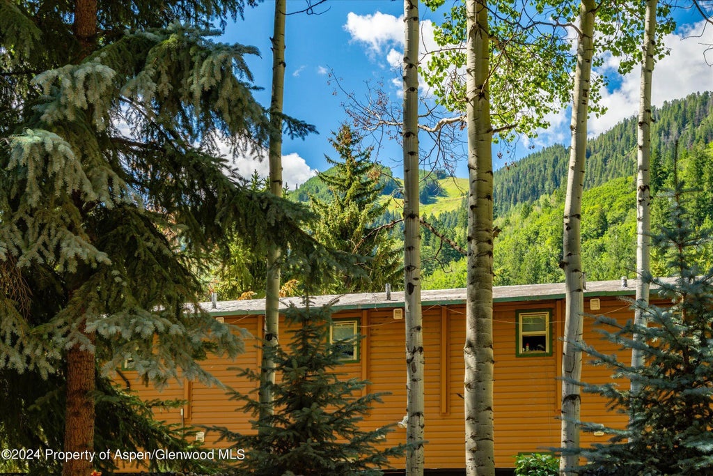 45 of 51 - 303 W Hopkins Avenue, Aspen, CO