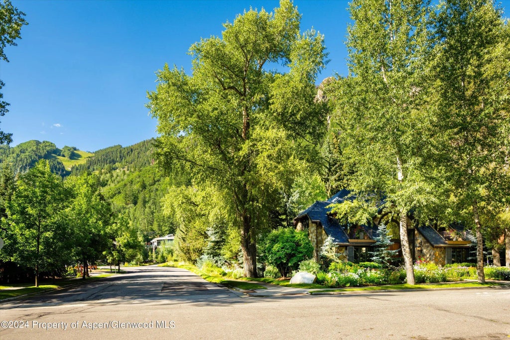 46 of 51 - 303 W Hopkins Avenue, Aspen, CO