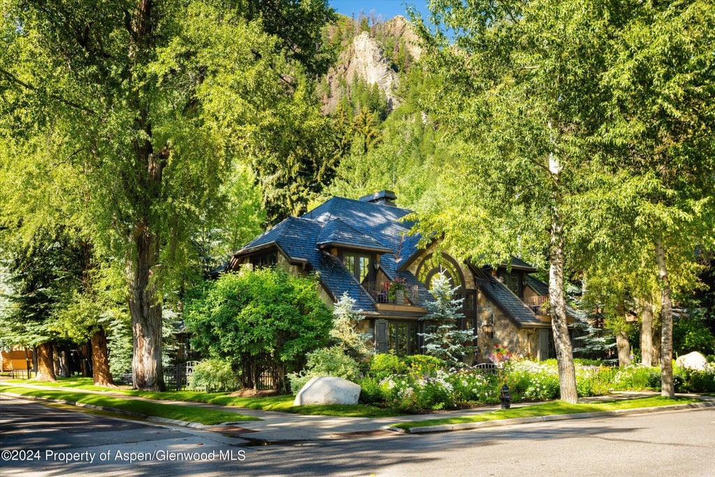 47 of 51 - 303 W Hopkins Avenue, Aspen, CO
