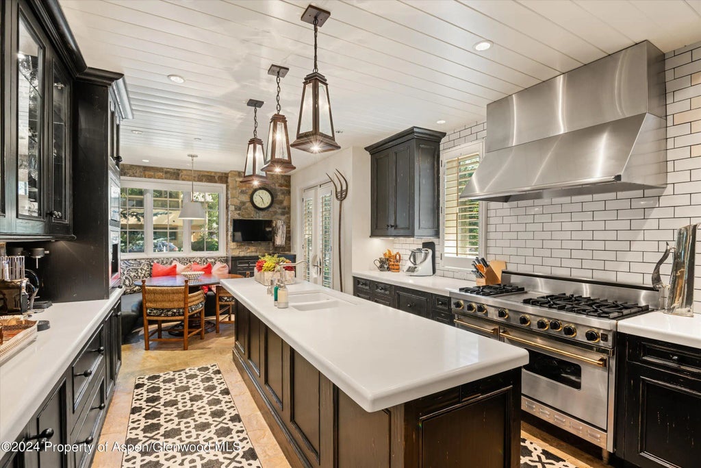 9 of 51 - 303 W Hopkins Avenue, Aspen, CO