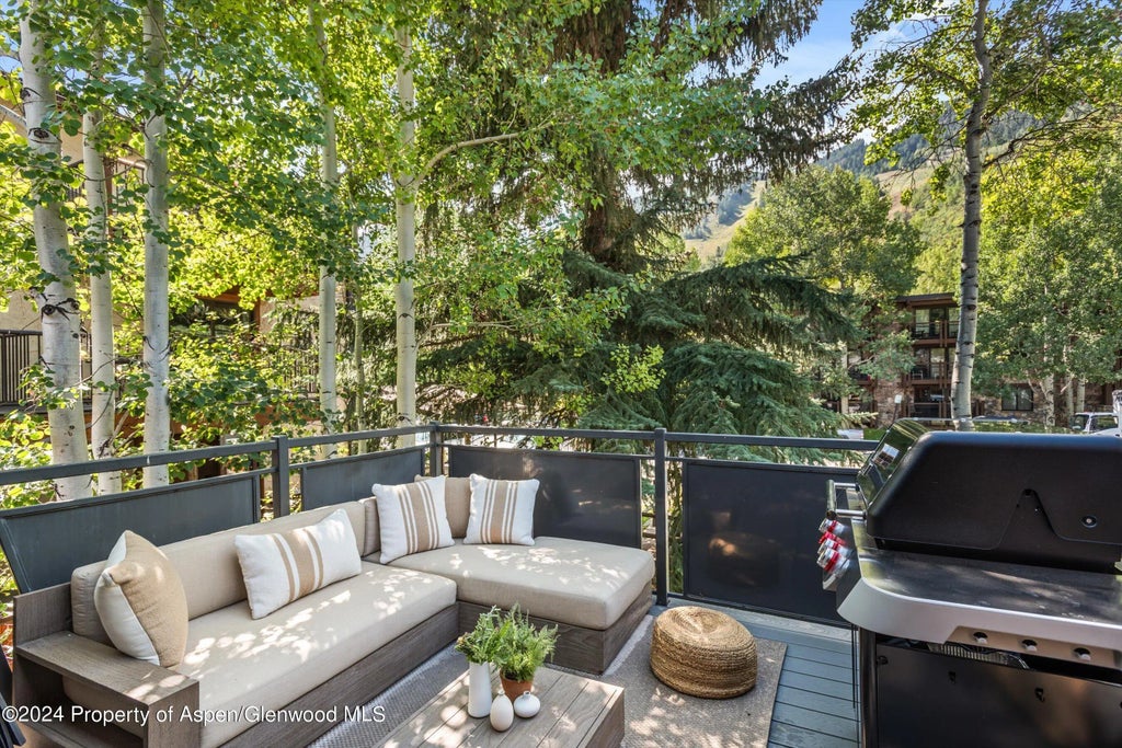 5 of 11 - 124 E Durant Avenue Unit 1, Aspen, CO