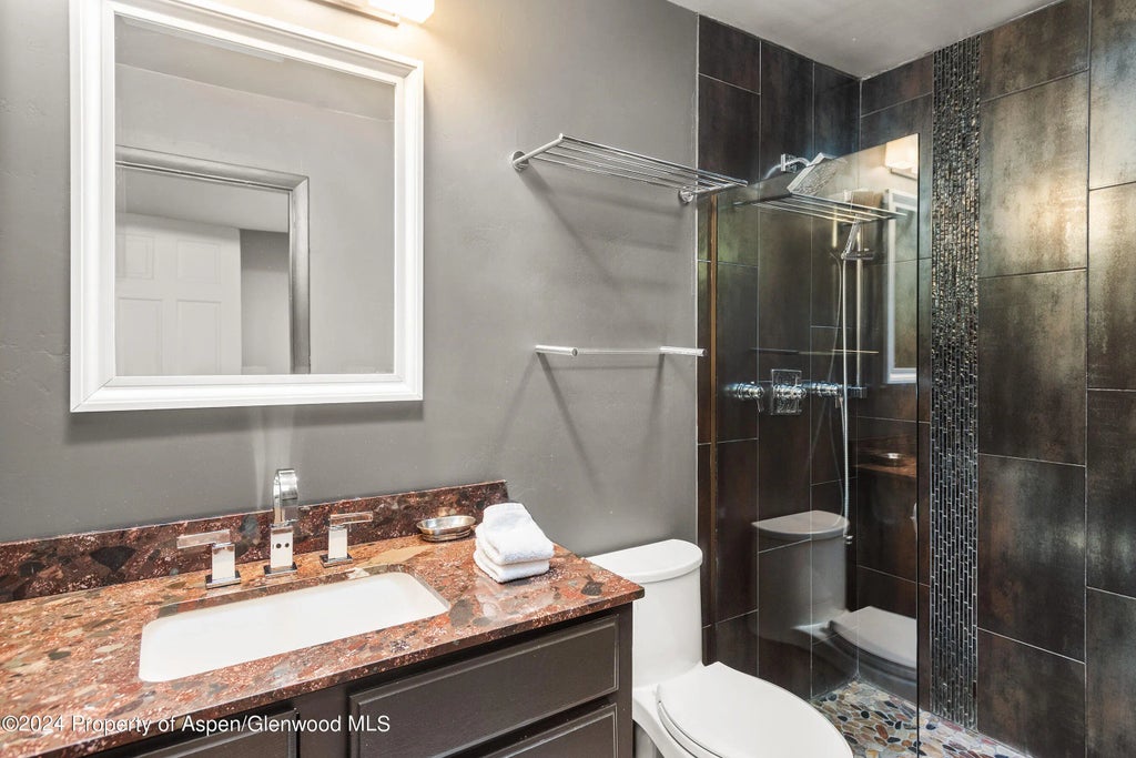 8 of 11 - 124 E Durant Avenue Unit 1, Aspen, CO