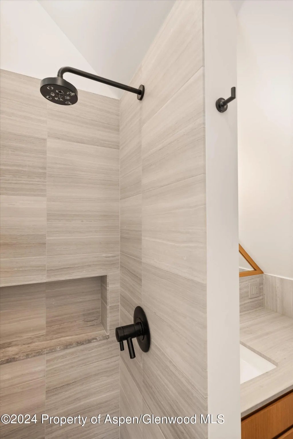 14 of 21 - 331 W Main Street Unit B, Aspen, CO