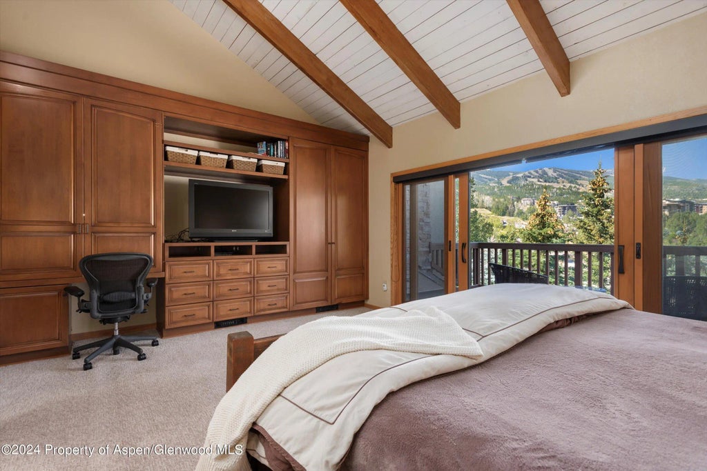 11 of 45 - 229 Faraway Road #34, Snowmass Village, CO