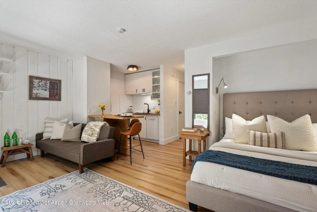 1 of 10 - 725 E Main Street #307, Aspen, CO