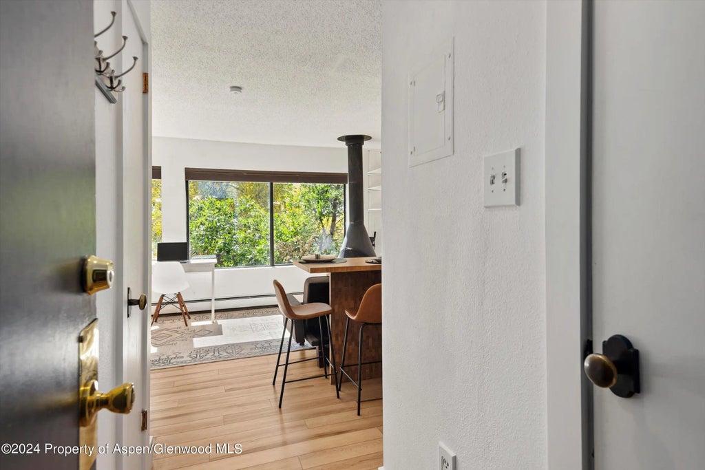 10 of 10 - 725 E Main Street #307, Aspen, CO