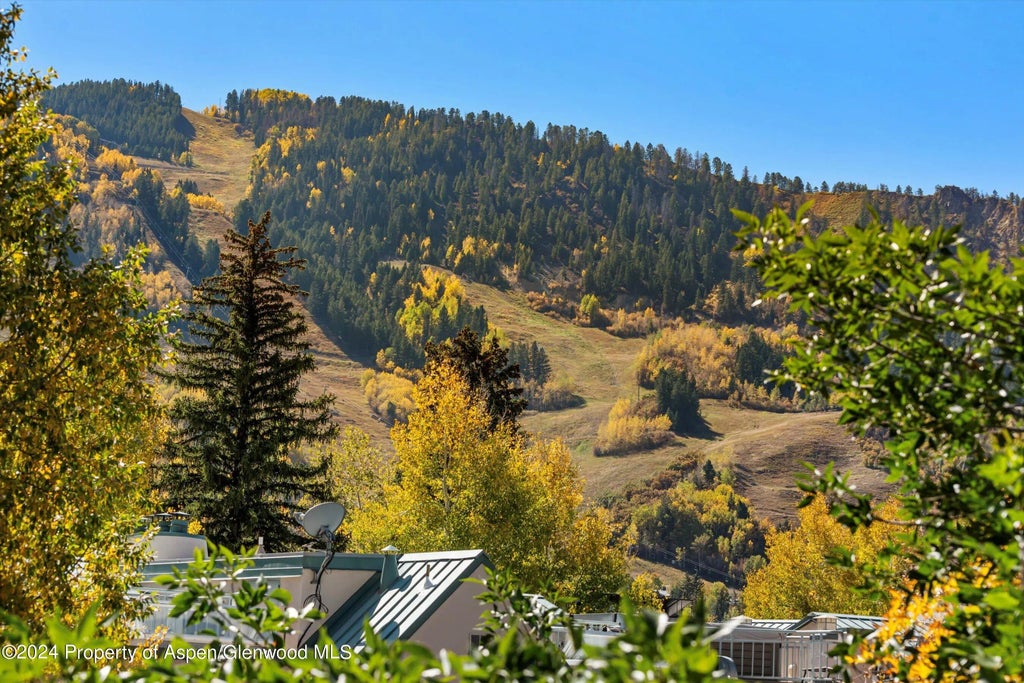 4 of 10 - 725 E Main Street #307, Aspen, CO